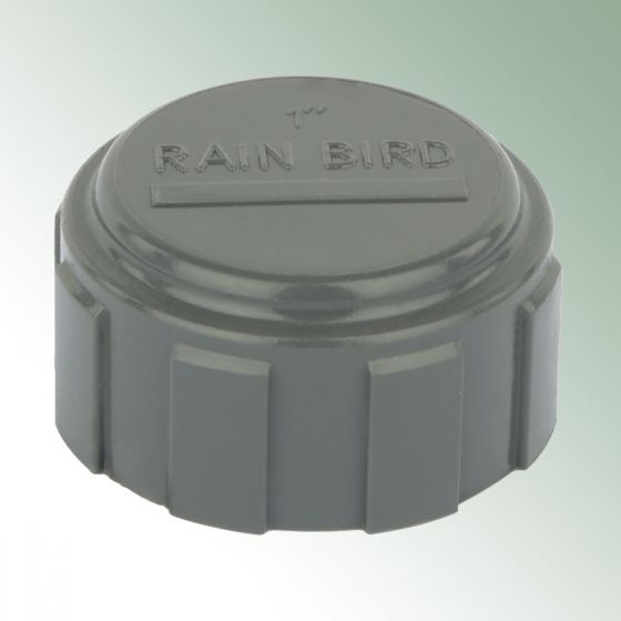 Rain Bird® PVC Zaślepka 1” IG