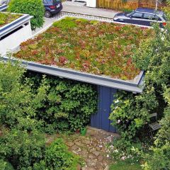 ZinCo Garażowy pakiet zielony dach kompletny zestaw 10 m²