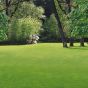 RSM7.2.2 - trawnik krajobrazowy 10 kg Miejsca suche z ziołami